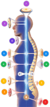 B83 Purpura/coagulation defect (ICD-10:D69.9, D68.9)